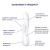 Вибратор кролик со смарт управлением Satisfyer Mono Flex 